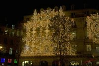 Cjp_2009_12_10_201302 (3).jpg